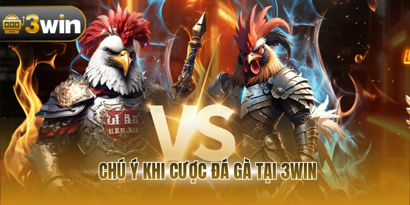 Chú ý khi cược đá gà tại 3WIN
