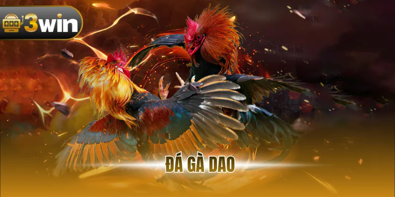 Đá Gà Dao - Hình Thức Chọi Kê Hấp Dẫn, Kịch Tính 2026