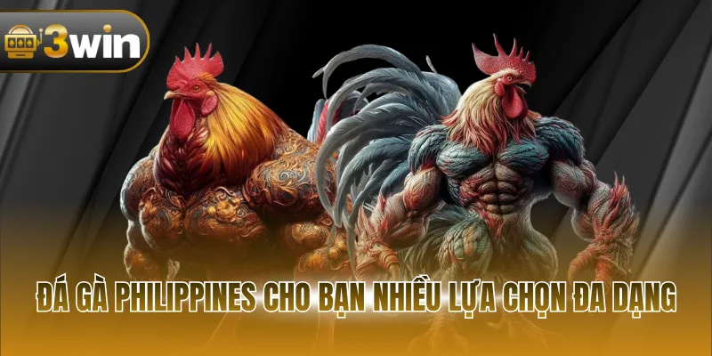 Đá gà Philippines cho bạn nhiều lựa chọn đa dạng