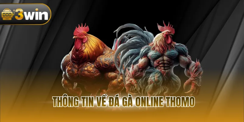 Thông tin về đá gà online Thomo