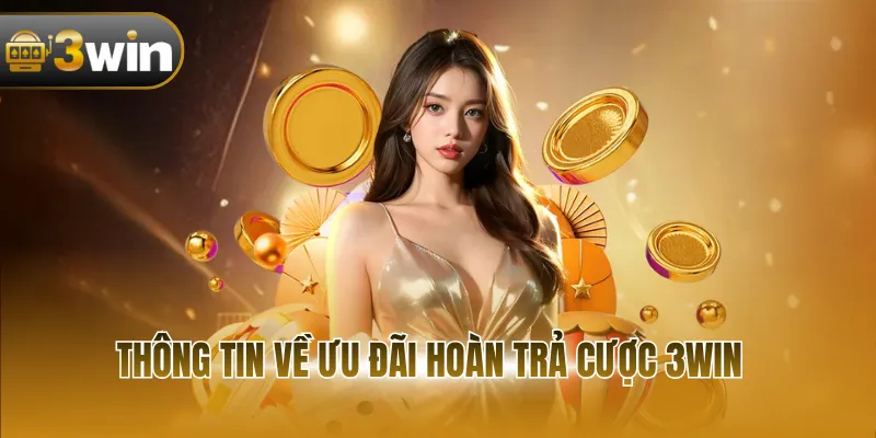 Thông tin về ưu đãi hoàn trả cược 3WIN