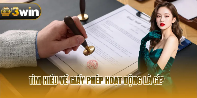 Tổng quan về giấy phép hoạt động 3WIN