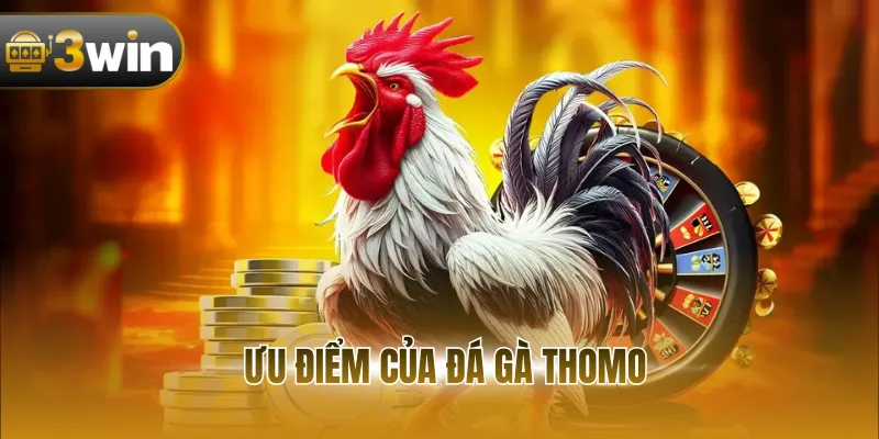 Ưu điểm của đá gà Thomo